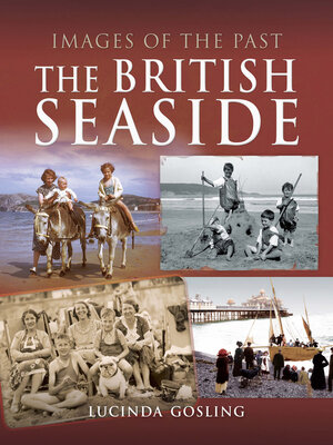 cover image of The British Seaside